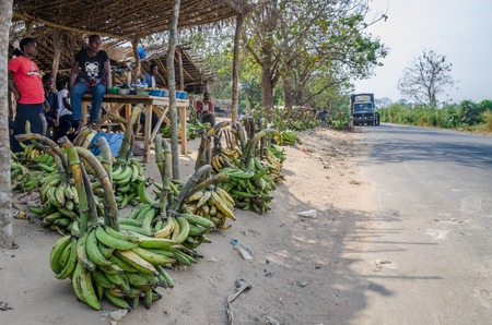 Yamoussoukro, Ivory Coast - January 31,2014: Green and yellow plantains and other vegetables for sale at road marketのeditorial素材