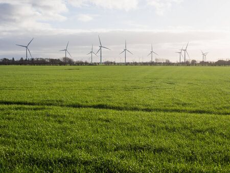 Wind turbines or windmills creating electricity from wind power on green field at sunset, Nordfriesland, Germany.の写真素材