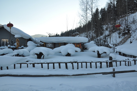 snow sceneのeditorial素材