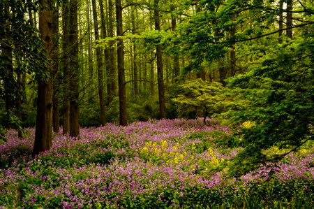 Landscapeの写真素材