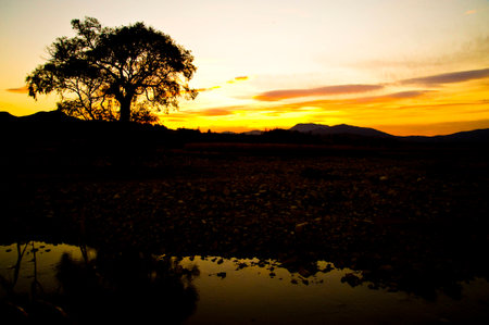 Landscapeの写真素材