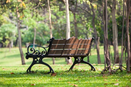 Bench in the peaceful public park in Bangkokの写真素材