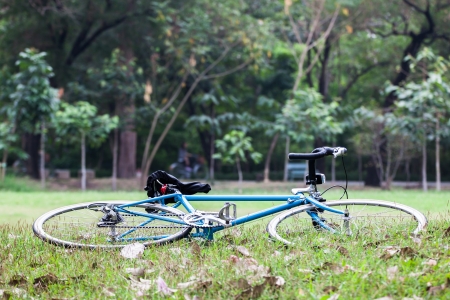 Blue bicycle was laid on the green grassの写真素材