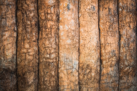 Pattern of old cracked wallの写真素材