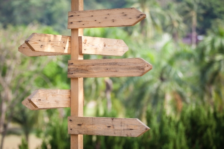 Blank wooden direction sign in the parkの写真素材