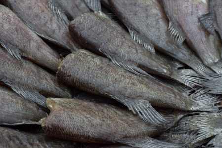 Drying fishes, drying is one of the most ancient food preservation techniques, which reduces water activity sufficiently to prevent bacterial growth.の写真素材