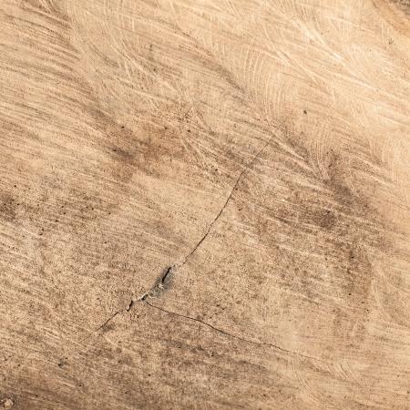 Texture of grunge  wood cutting viewの写真素材