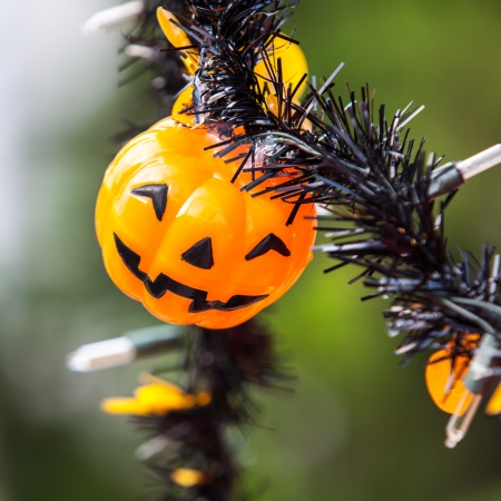 Pumpkin halloween lamp decorated in partyの写真素材