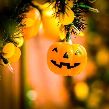 Pumpkin halloween lamp decorated in partyの写真素材