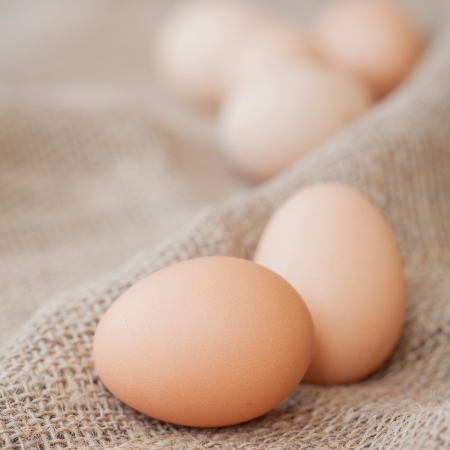 Eggs lay on sackcloth, selected focusの写真素材