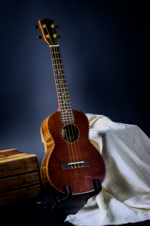 Still life, classic ukulele on standの写真素材
