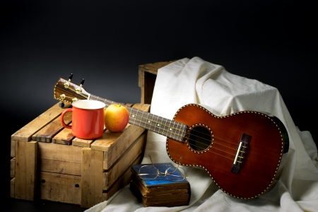 Still life, classic ukulele on standの写真素材