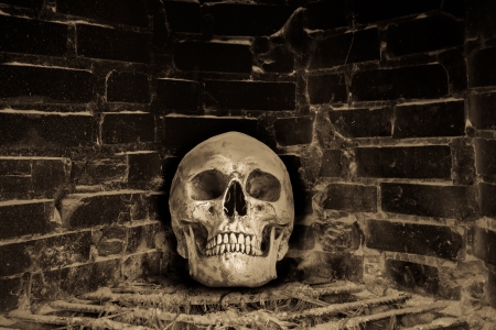 Still life with human skull in stoveの写真素材