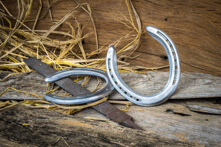 Horse shoes on wooden table