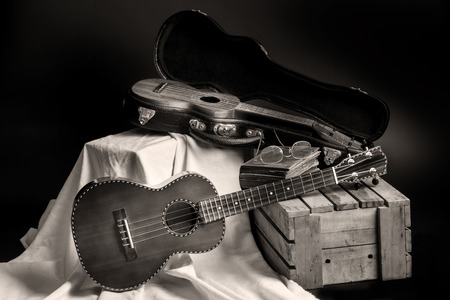 Still life, classic ukulele on standの写真素材