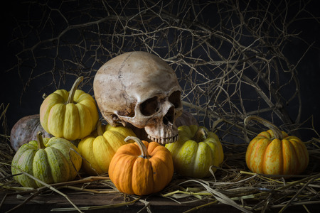 Still life with human skulls and pumpkins in barnの写真素材