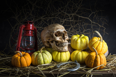 Still life with skull, horseshoe and pumpkins in barnの写真素材