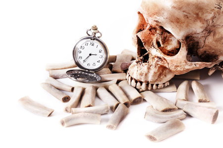 Human skull with pocket watch on isolated white background