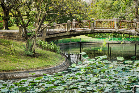 Ancient bridge in the parkの写真素材