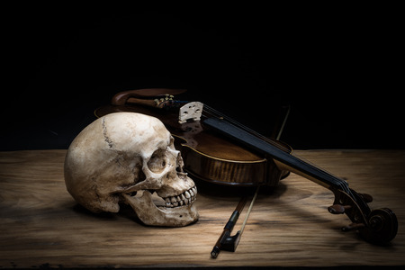 Still life with human skull and violinの写真素材