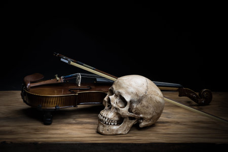 Still life with human skull and violinの写真素材