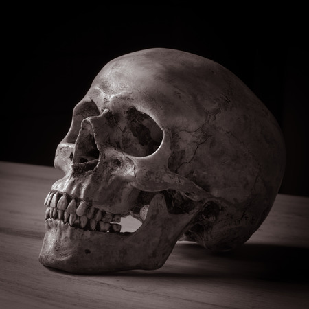 Still life with human skull on wooden tableの写真素材