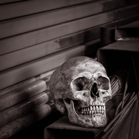 Human skull in the workshopの写真素材