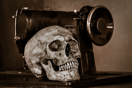 Still life with human skull in workshopの写真素材