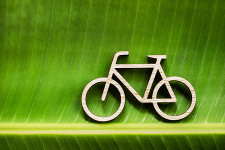 Wooden bicycle toy on green banana leave