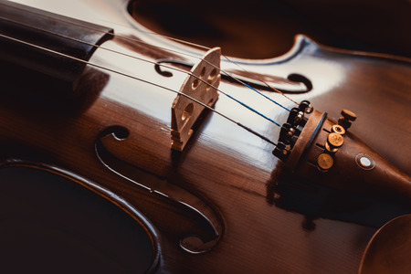 Still life with vintage violinの写真素材