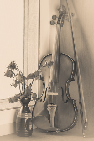Still life with vintage violinの写真素材
