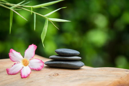 Spa still life with stacked of stone, flower and bamboo leafの写真素材