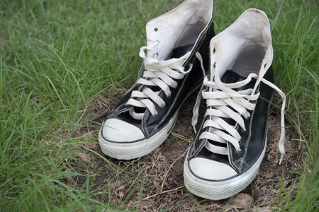 Old sneaker on dry grassの写真素材
