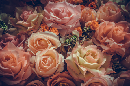 Vintage old flower backgrounds - vintage effect style picturesの写真素材