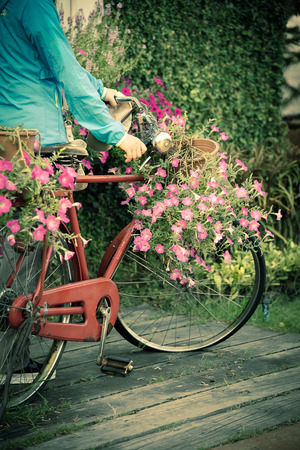 Woman hand hold the old bicycles with basket flower on old weathered wood floor, vintage styleの写真素材