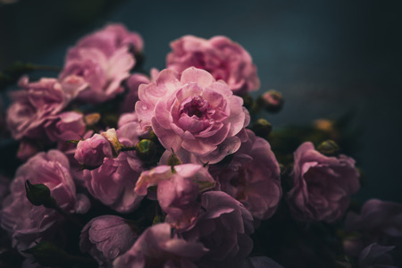 Pink roses bouquet with free space for text, soft focusの写真素材