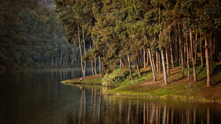Lake and forest view, cinematic and vintage effect with gainの写真素材