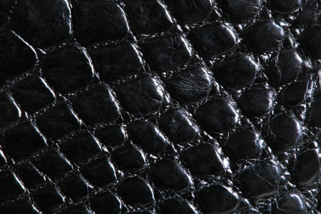 wild crocodile skin pattern in many style.