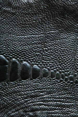 wild crocodile skin pattern in many style.