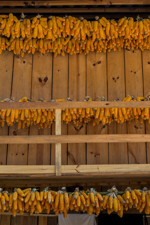 fresh Vegetables on the dish with isolate backgroundの写真素材