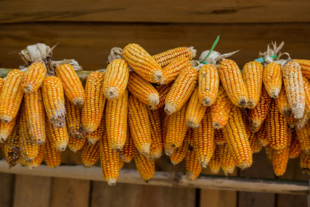 fresh Vegetables on the dish with isolate backgroundの写真素材
