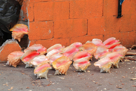 Clear water and white sand beach in daytime  Thailand.の写真素材