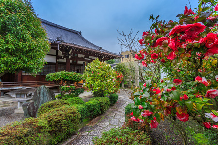 road green nature in many style in Japan.のeditorial素材