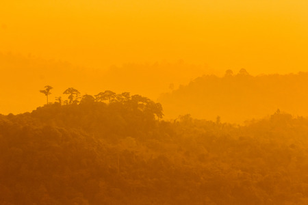 Misty Valley and yellow sky.の写真素材