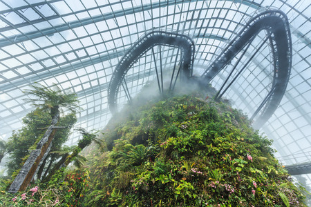 Singapore is building a flower garden of colorful flowers.のeditorial素材