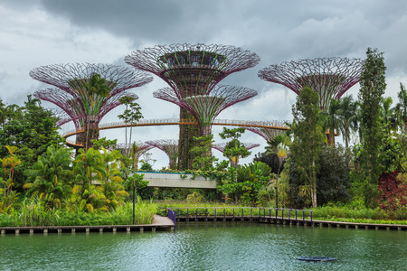 Singapore is building a flower garden of colorful flowers.のeditorial素材
