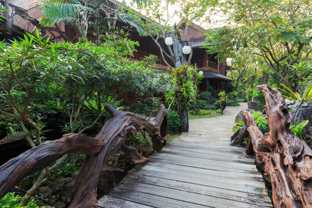 Garden surrounded by tree covered with beautiful green.の写真素材