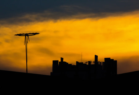 skylineの写真素材