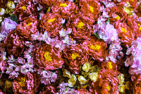 Flowersの写真素材