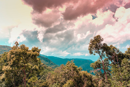 mountainの写真素材